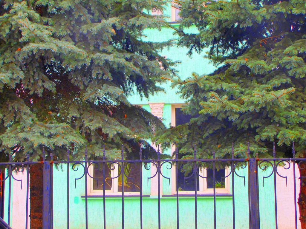 Guest House On Kaldaiakova 38 Almaty Extérieur photo